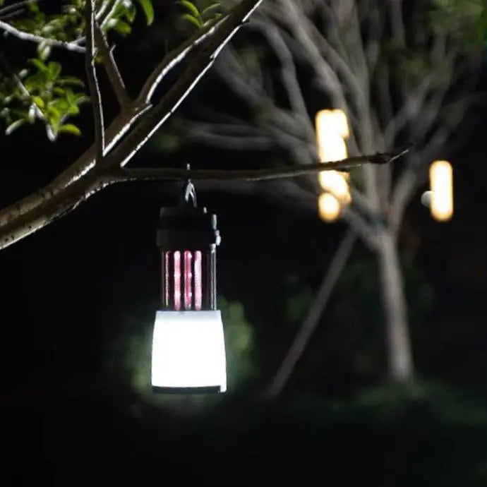 Camp & Light