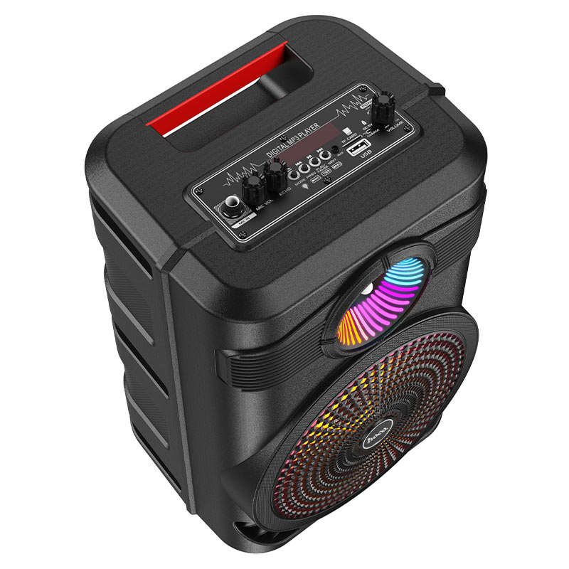 BS46 Mature outdoor BT speaker