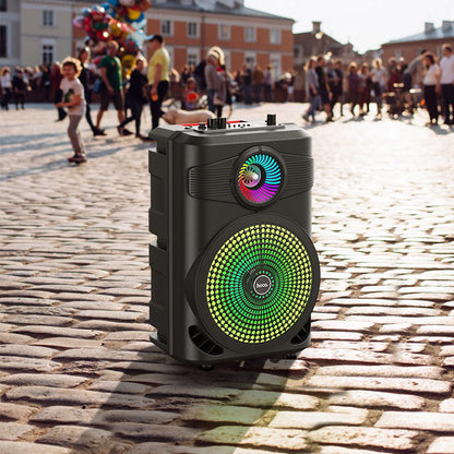 BS46 Mature outdoor BT speaker