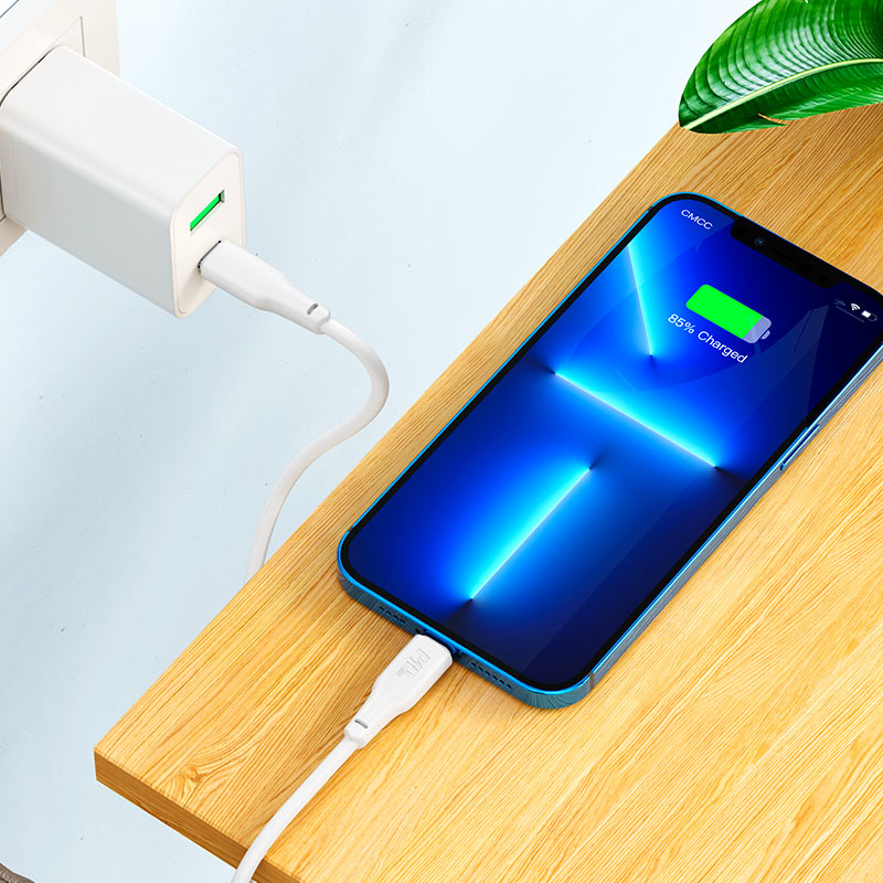 Type-C to Lightning PD charging data cable